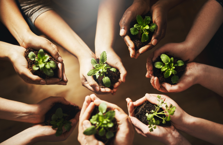 Sustainable Development